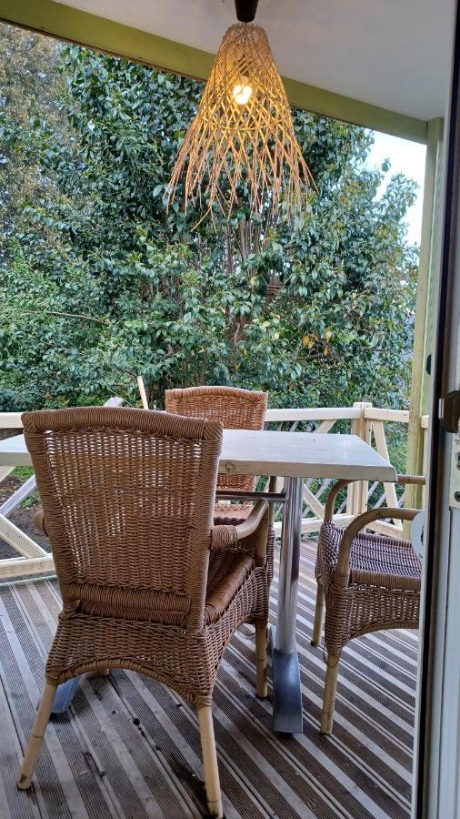 Le petit chalet de Charlène San-Gavino-di-Carbini Extérieur photo
